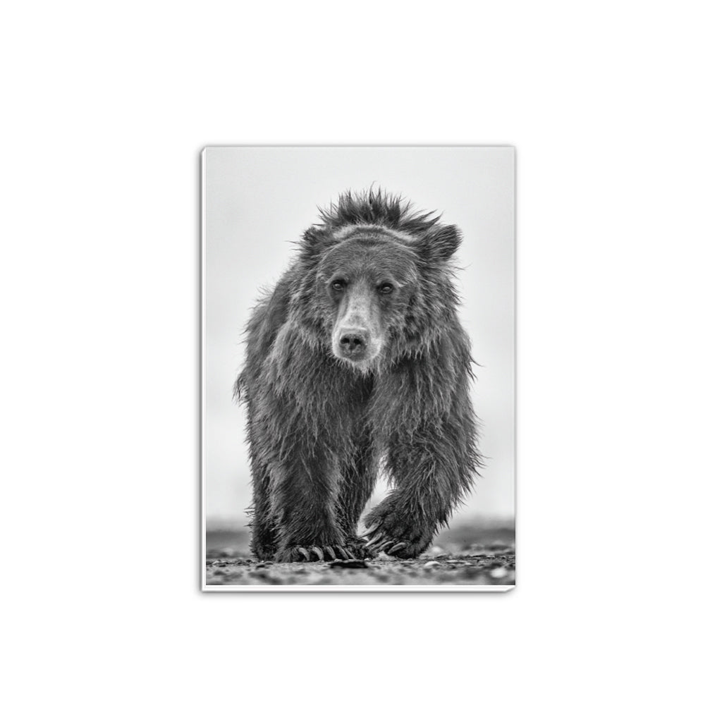 Down Shift - Bear A5 Notepad by Richard Bernabe