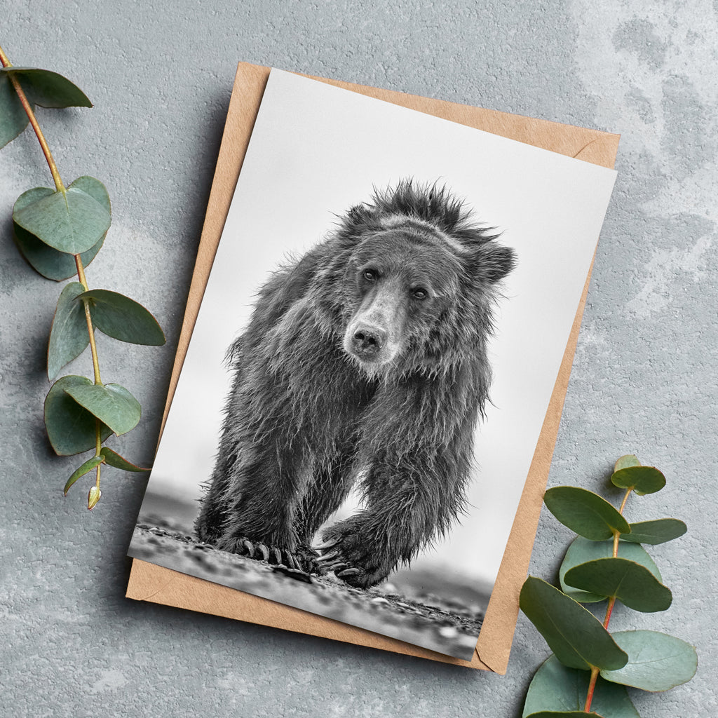 Down Shift - Bear Greeting Cards - Pack of 6 by Richard Bernabe