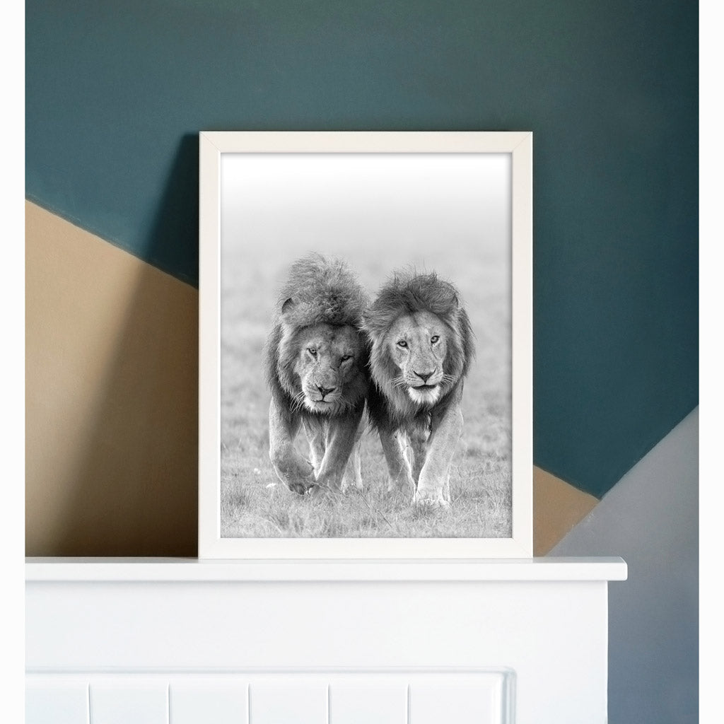 Two Kings - Lions Art Print by Richard Bernabe