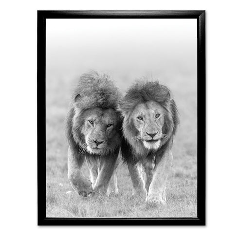 Two Kings - Lions Art Print by Richard Bernabe