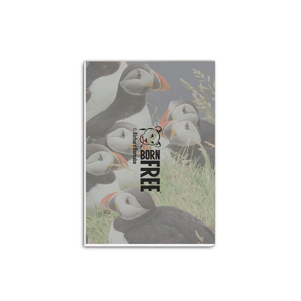Circus of Puffins A5 Notepad