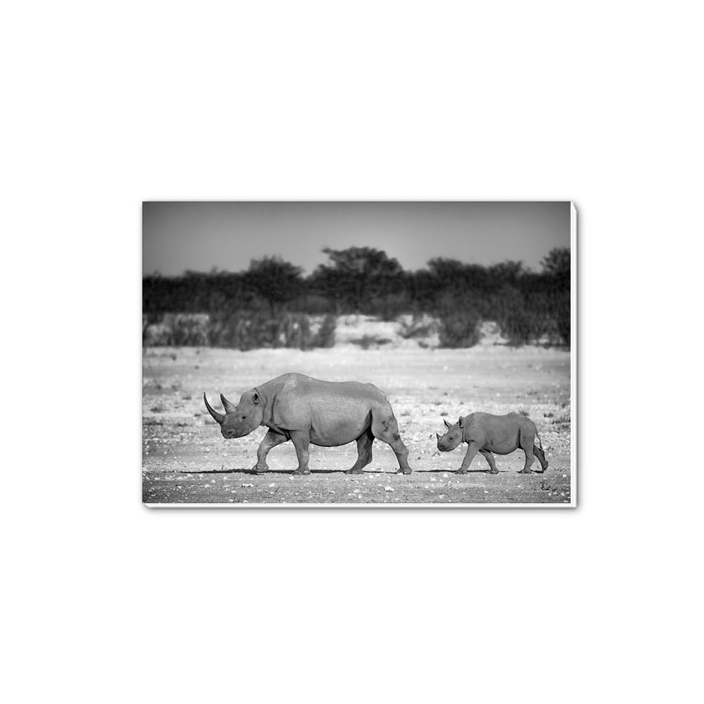 Living Legacy - Etosha National Park, Namibia A5 Notepad