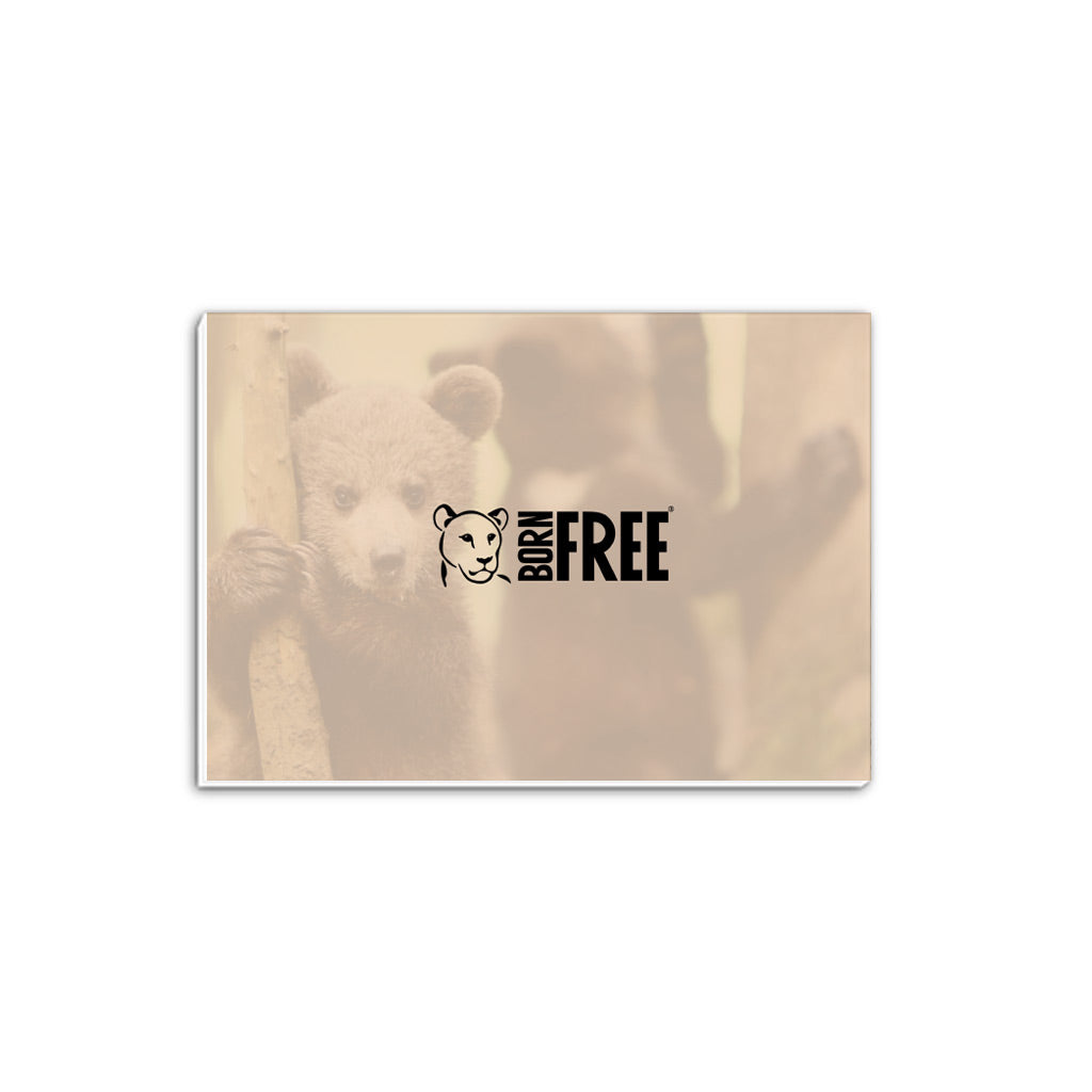 Born Free Bear Cub A5 Notepad