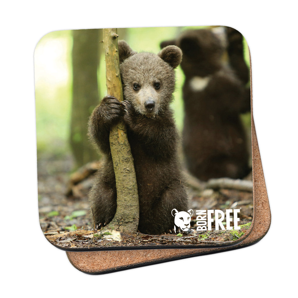 Born Free Bear Cub Coaster