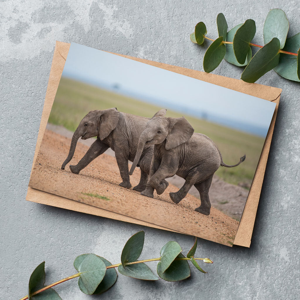 Born Free Baby Elephant Greeting Cards - Pack of 6