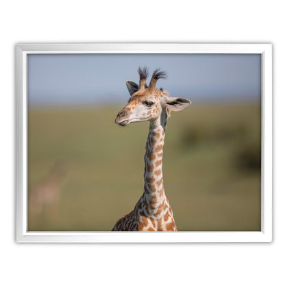 New Beginnings Giraffe Calf Art Print by George Logan