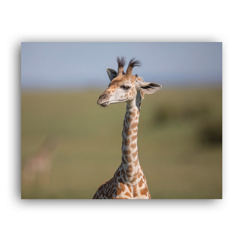 New Beginnings Giraffe Calf Art Print by George Logan
