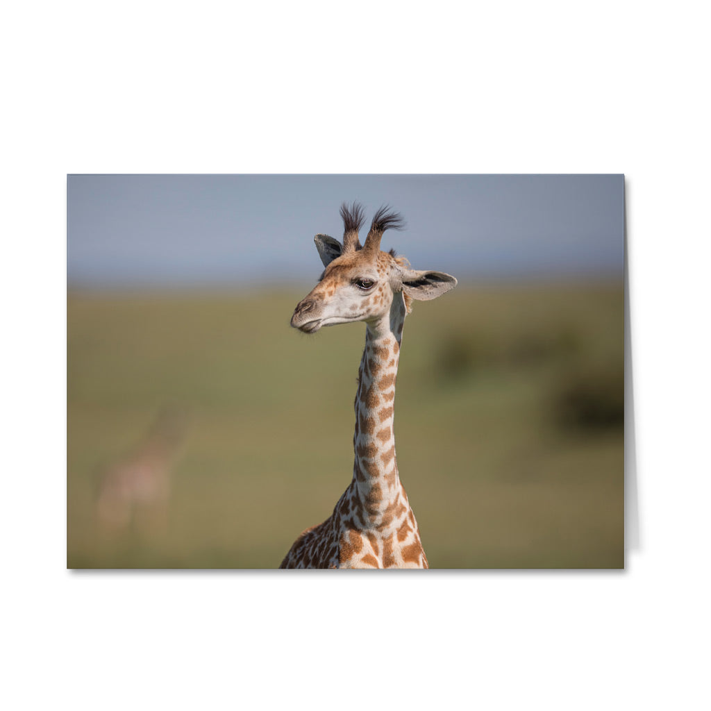 Born Free Giraffe Calf Greeting Cards - Pack of 6