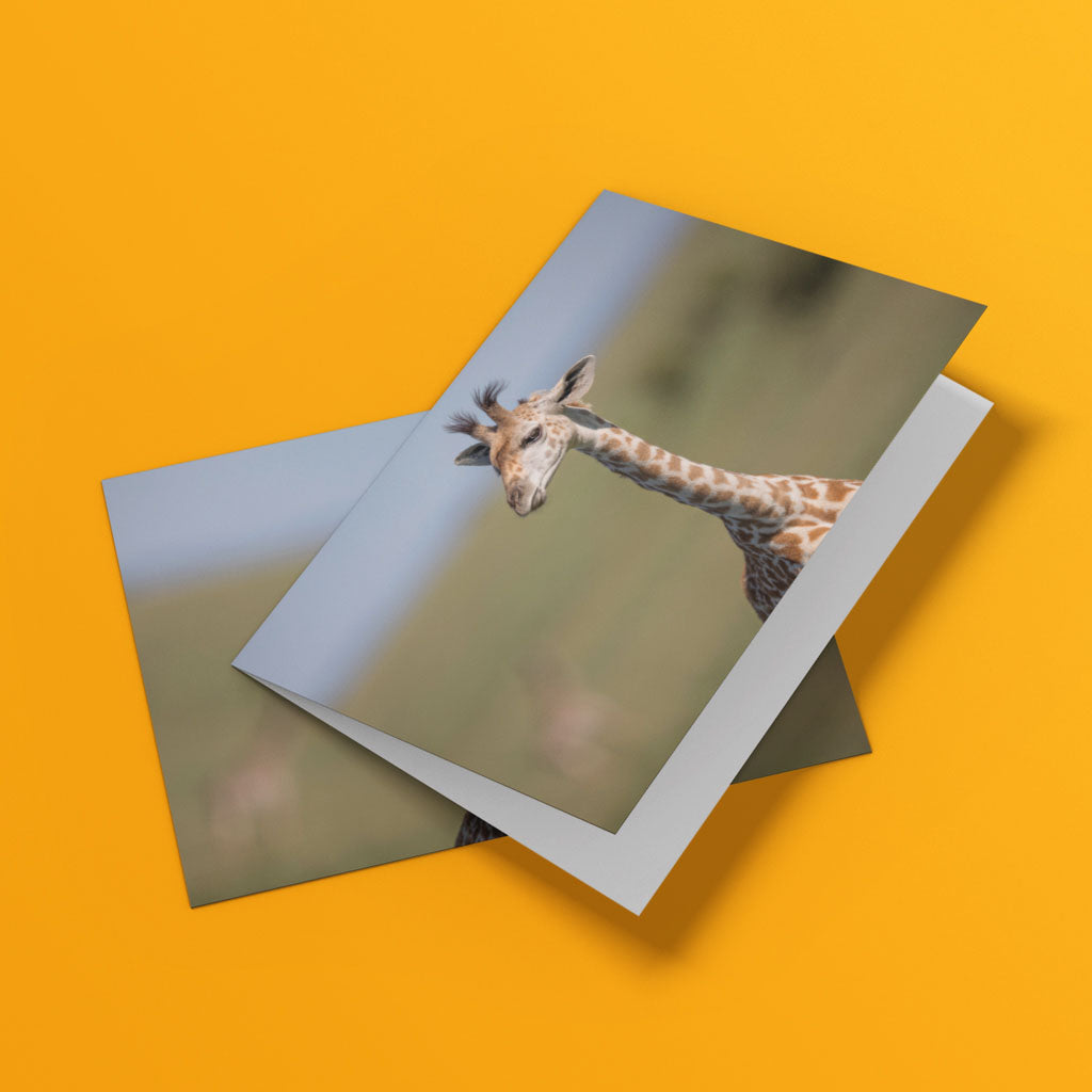 Born Free Giraffe Calf Greeting Cards - Pack of 6