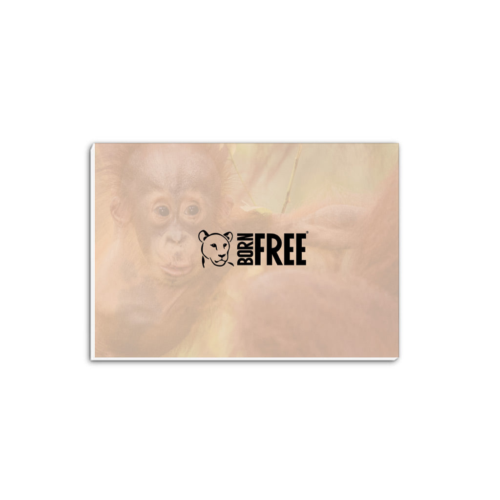Born Free Baby Orangutan A5 Notepad