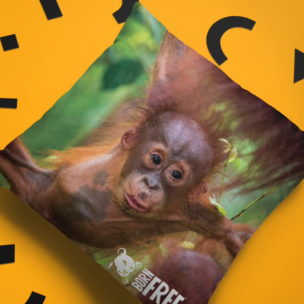 Born Free Baby Orangutan Organic Cushion