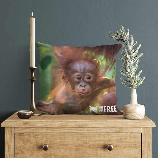 Born Free Baby Orangutan Organic Cushion