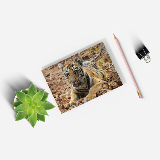 New Beginnings Tiger Cub A5 Notepad