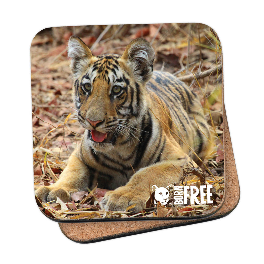 New Beginnings Tiger Cub Coaster – Born Free Shop