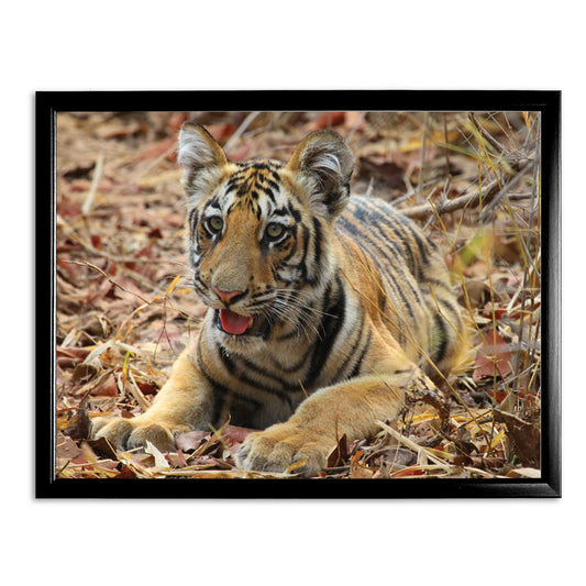 New Beginnings Tiger Cub Art Print