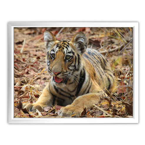 New Beginnings Tiger Cub Art Print