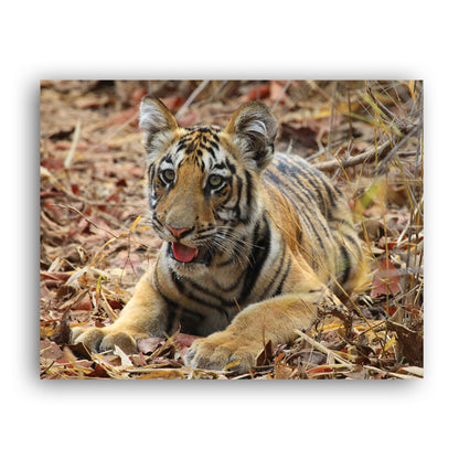 New Beginnings Tiger Cub Art Print