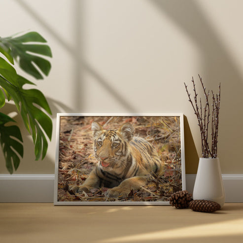 New Beginnings Tiger Cub Art Print