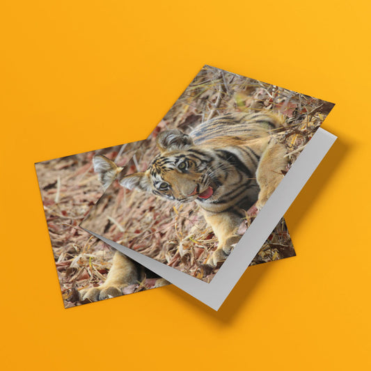 Born Free Tiger Cub Greeting Cards - Pack of 6