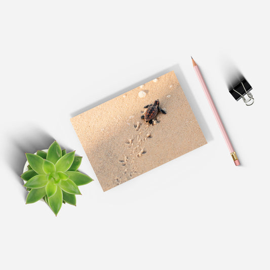 New Beginnings Baby Turtle A5 Notepad