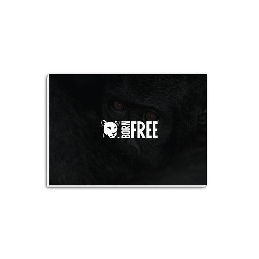 Born Free Ape A5 Notepad