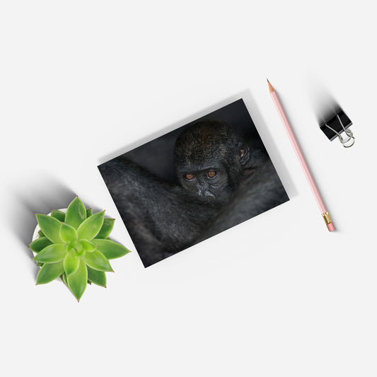 New Beginnings Baby Ape A5 Notepad