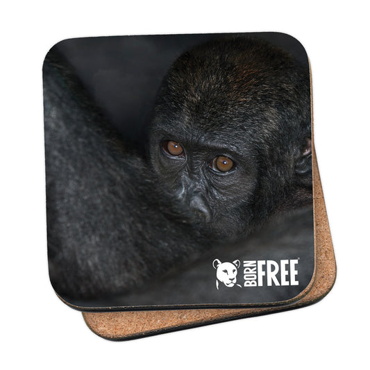 Born Free Ape Coaster