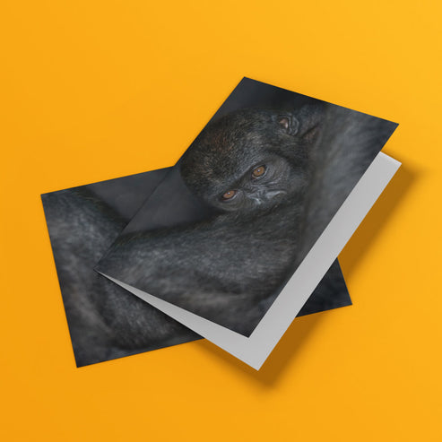 Born Free Ape Greeting Cards - Pack of 6