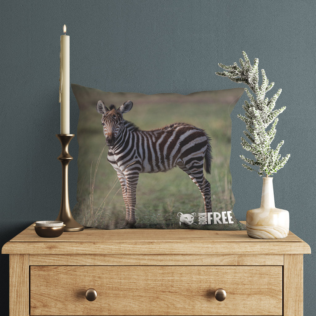 Born Free Zebra Foal Organic Cushion