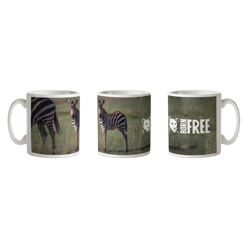 Born Free Zebra Foal Mug