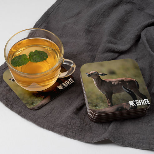 Born Free Impala Calf Coaster