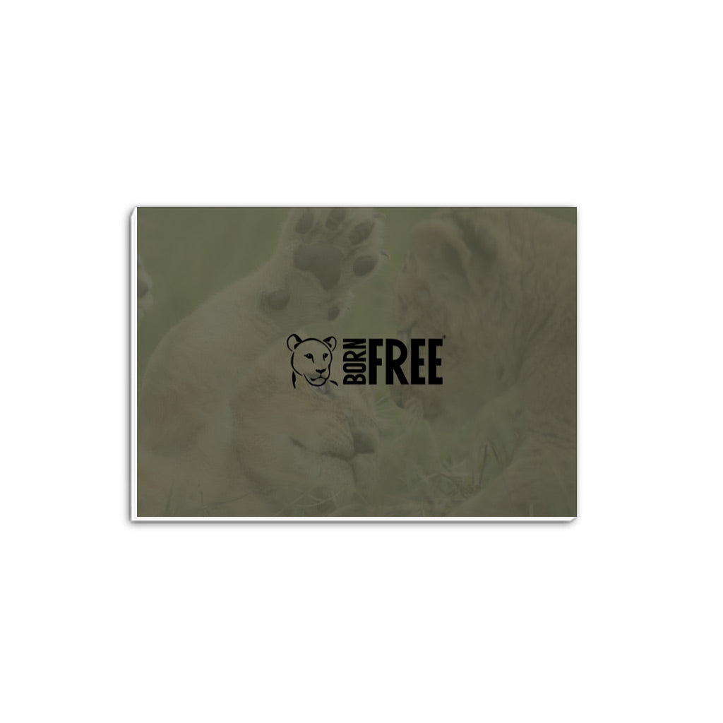 Born Free Lion Cubs A5 Notepad