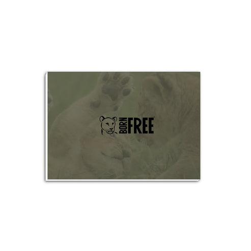 Born Free Lion Cubs A5 Notepad