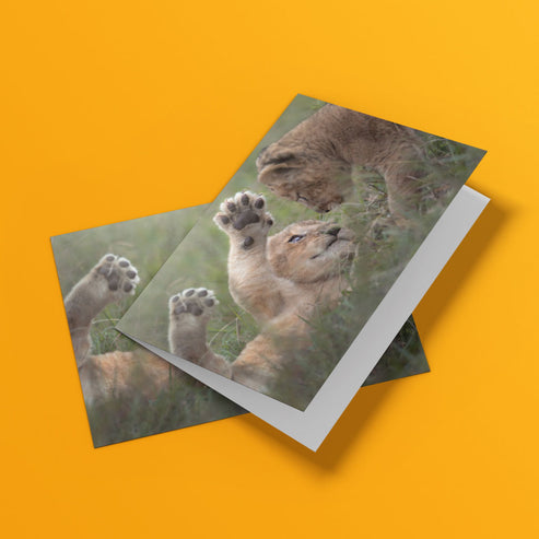 Born Free Lion Cubs Greeting Cards - Pack of 6