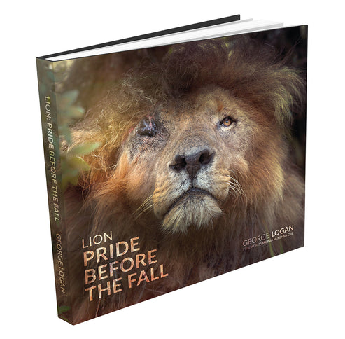 Lion: Pride Before the Fall